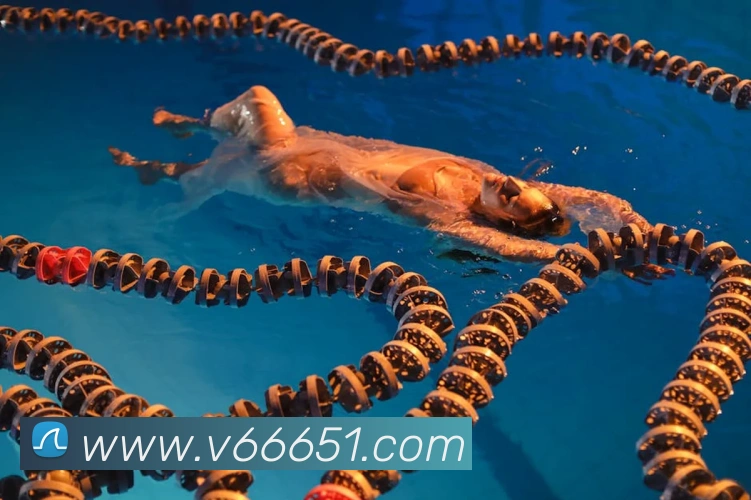 V66体育品牌故事